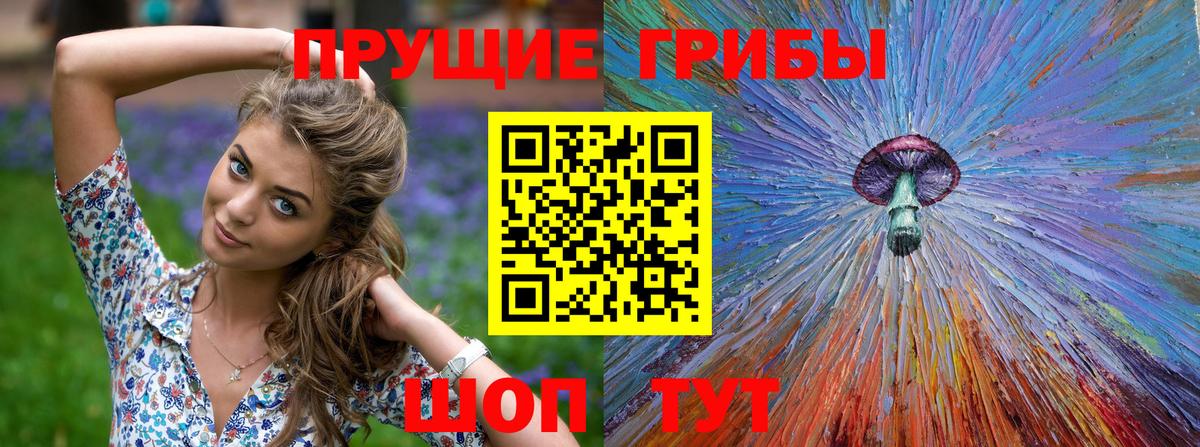 Псилоцибиновые грибы Psilocybe Вольск